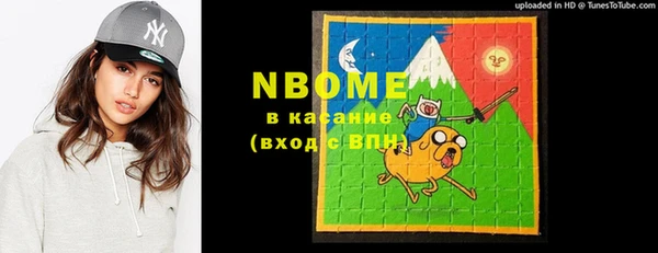хмурый Арсеньев