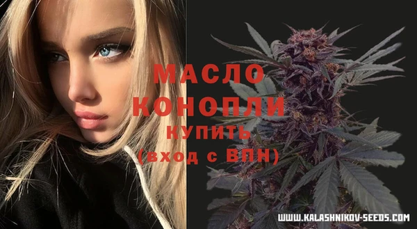 хмурый Арсеньев