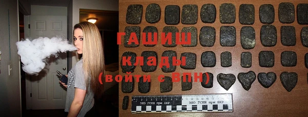 хмурый Арсеньев