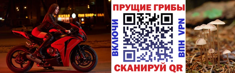 купить закладку  Кубинка  Псилоцибиновые грибы Magic Shrooms 