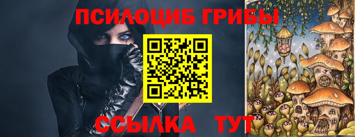 где можно купить   Вход с VPN  Галлюциногенные грибы прущие грибы  Кубинка  Псилоцибиновые грибы Psilocybe 